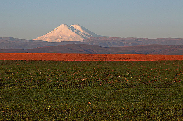 View of Elbrus from the north - from the plains of Stavropol Krai